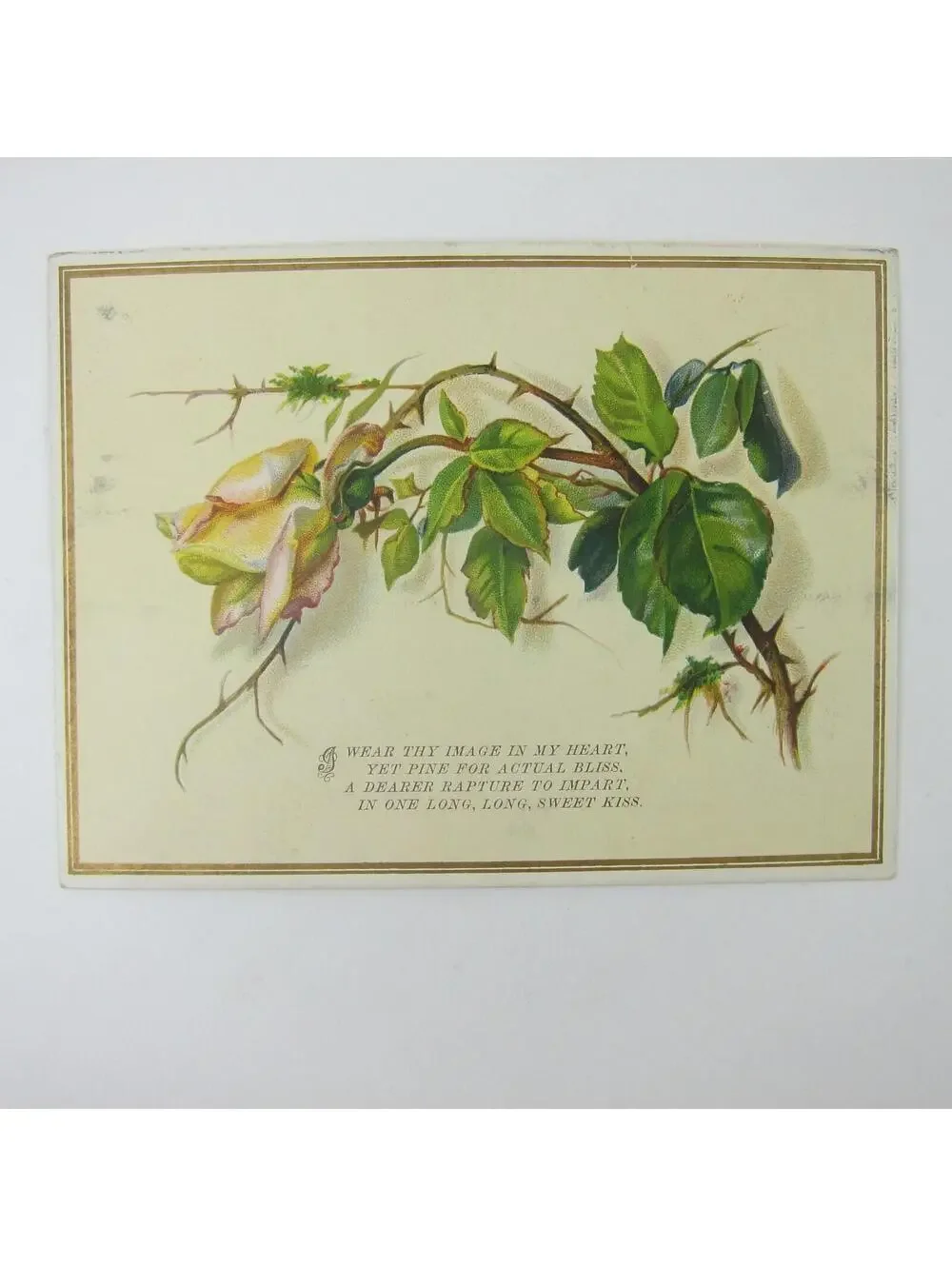 Victorian Greeting Card Valentine Yellow Rose Flower Green Leaves Poem Antique